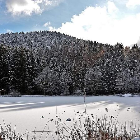 Apartament Le Petit Vosgien Gérardmer Zewnętrze zdjęcie