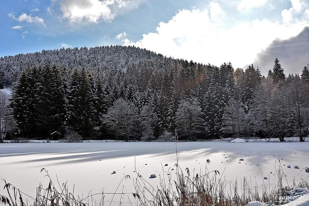 Apartament Le Petit Vosgien Gérardmer Zewnętrze zdjęcie