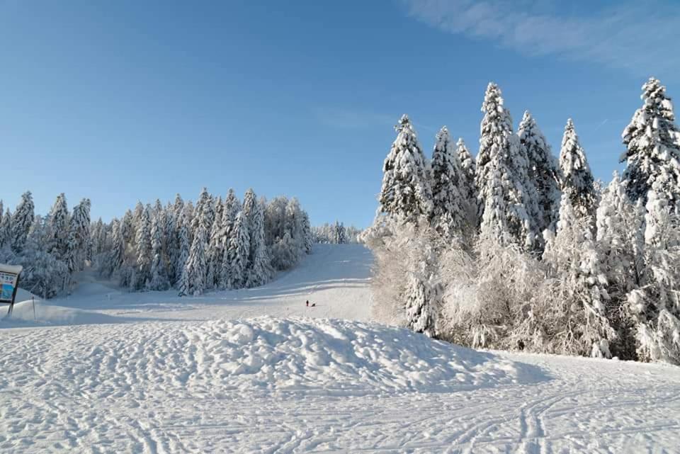 Apartament Le Petit Vosgien Gérardmer Zewnętrze zdjęcie
