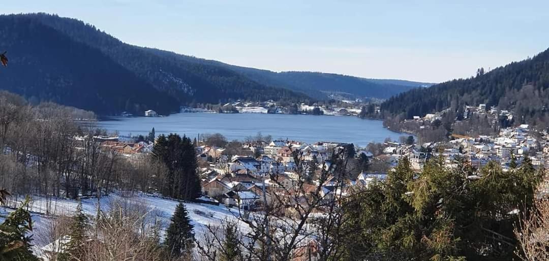 Apartament Le Petit Vosgien Gérardmer Zewnętrze zdjęcie